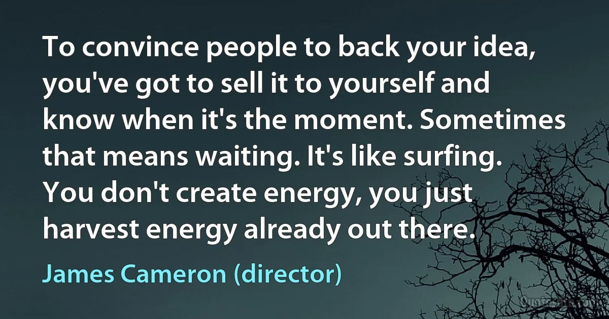 To convince people to back your idea, you've got to sell it to yourself and know when it's the moment. Sometimes that means waiting. It's like surfing. You don't create energy, you just harvest energy already out there. (James Cameron (director))