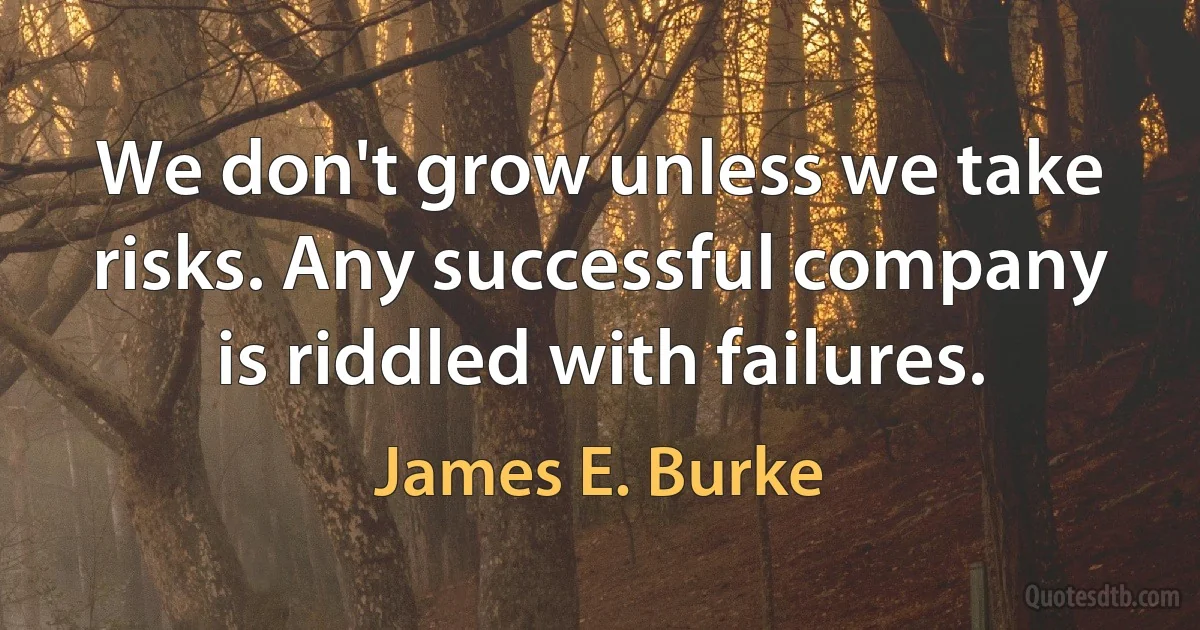 We don't grow unless we take risks. Any successful company is riddled with failures. (James E. Burke)