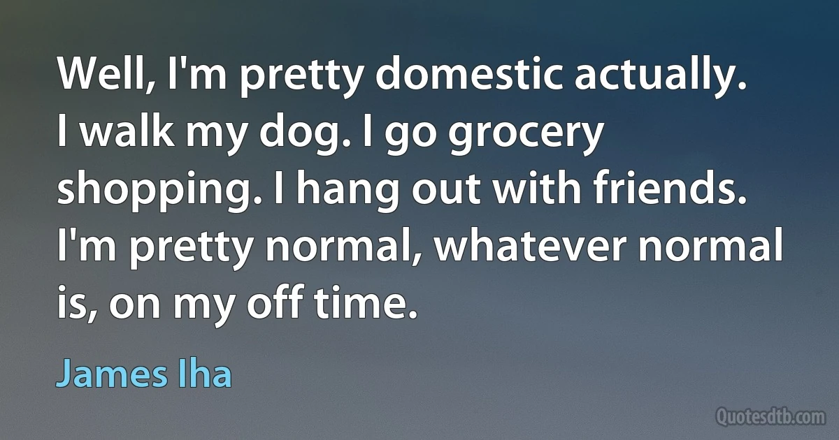 Well, I'm pretty domestic actually. I walk my dog. I go grocery shopping. I hang out with friends. I'm pretty normal, whatever normal is, on my off time. (James Iha)