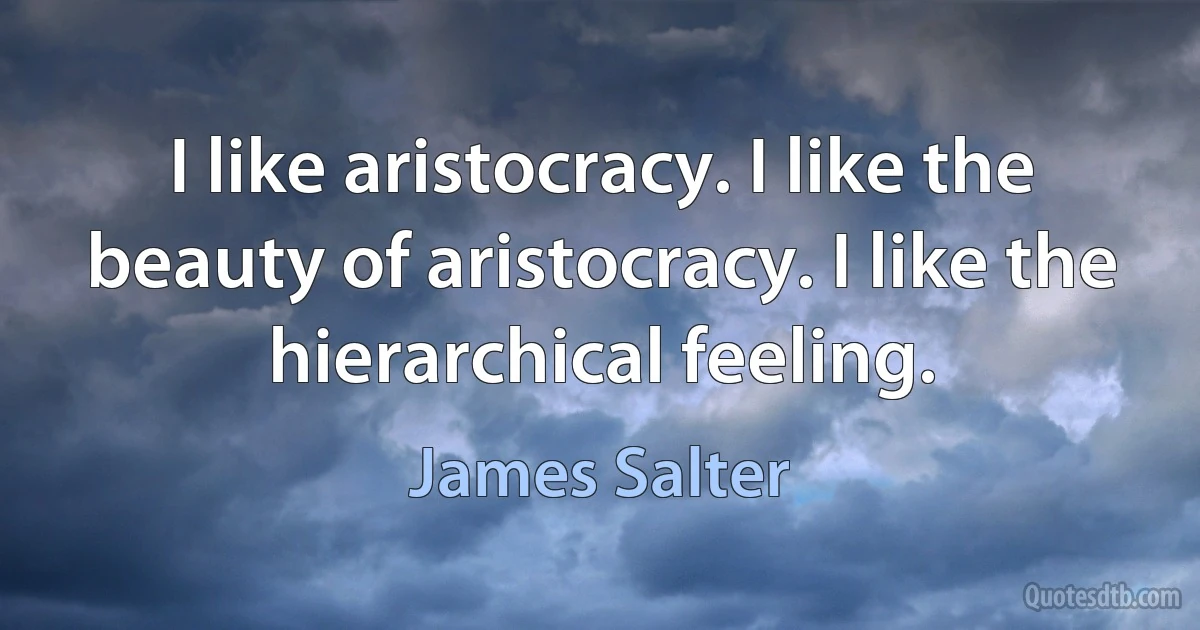 I like aristocracy. I like the beauty of aristocracy. I like the hierarchical feeling. (James Salter)