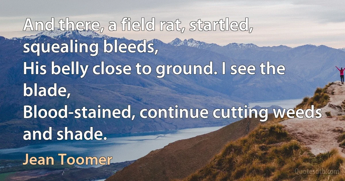 And there, a field rat, startled, squealing bleeds,
His belly close to ground. I see the blade,
Blood-stained, continue cutting weeds and shade. (Jean Toomer)