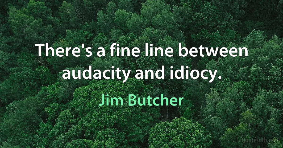 There's a fine line between audacity and idiocy. (Jim Butcher)