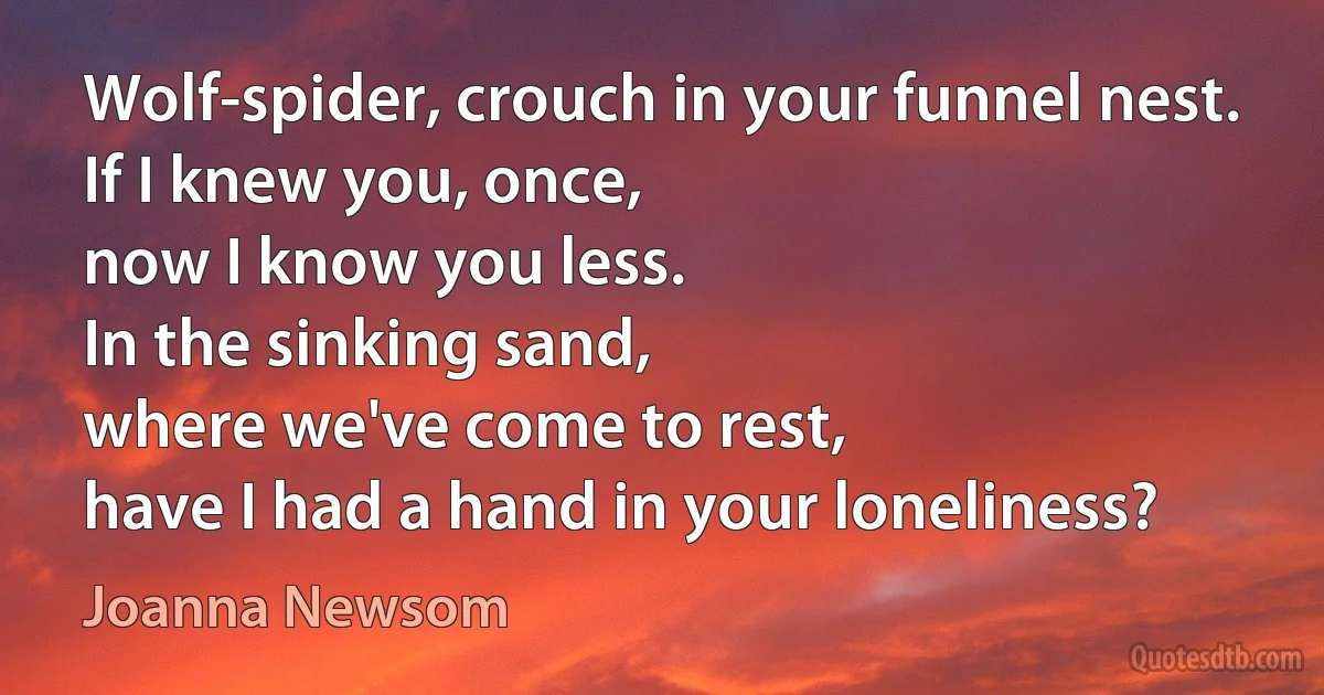 Wolf-spider, crouch in your funnel nest.
If I knew you, once,
now I know you less.
In the sinking sand,
where we've come to rest,
have I had a hand in your loneliness? (Joanna Newsom)