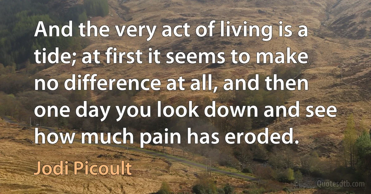 And the very act of living is a tide; at first it seems to make no difference at all, and then one day you look down and see how much pain has eroded. (Jodi Picoult)