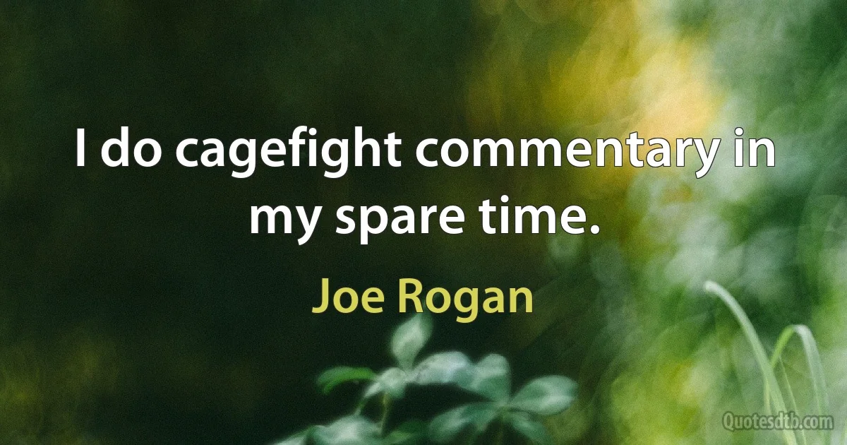 I do cagefight commentary in my spare time. (Joe Rogan)