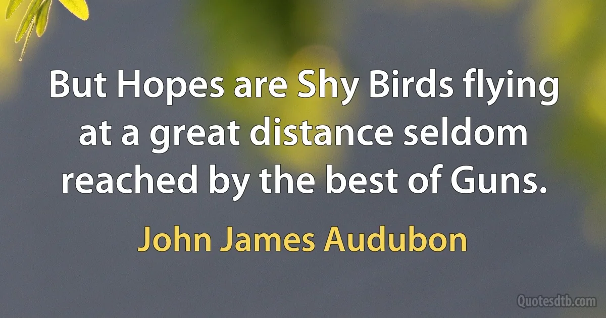 But Hopes are Shy Birds flying at a great distance seldom reached by the best of Guns. (John James Audubon)