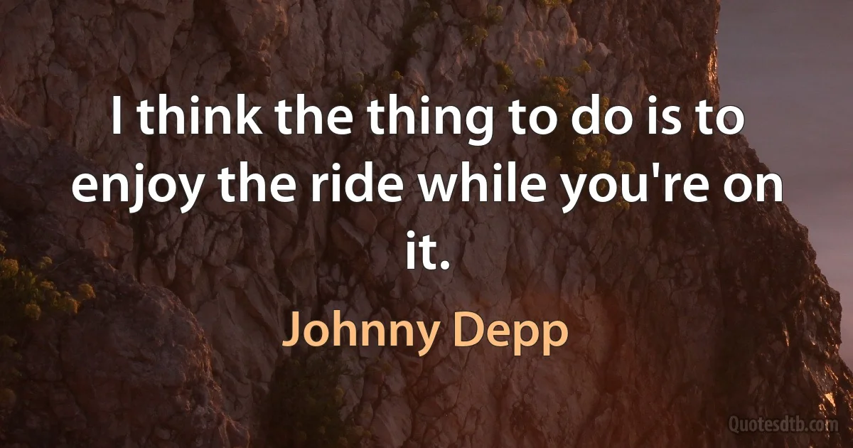 I think the thing to do is to enjoy the ride while you're on it. (Johnny Depp)