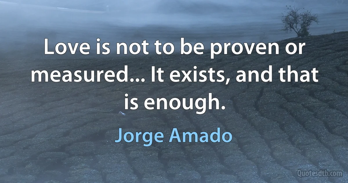 Love is not to be proven or measured... It exists, and that is enough. (Jorge Amado)