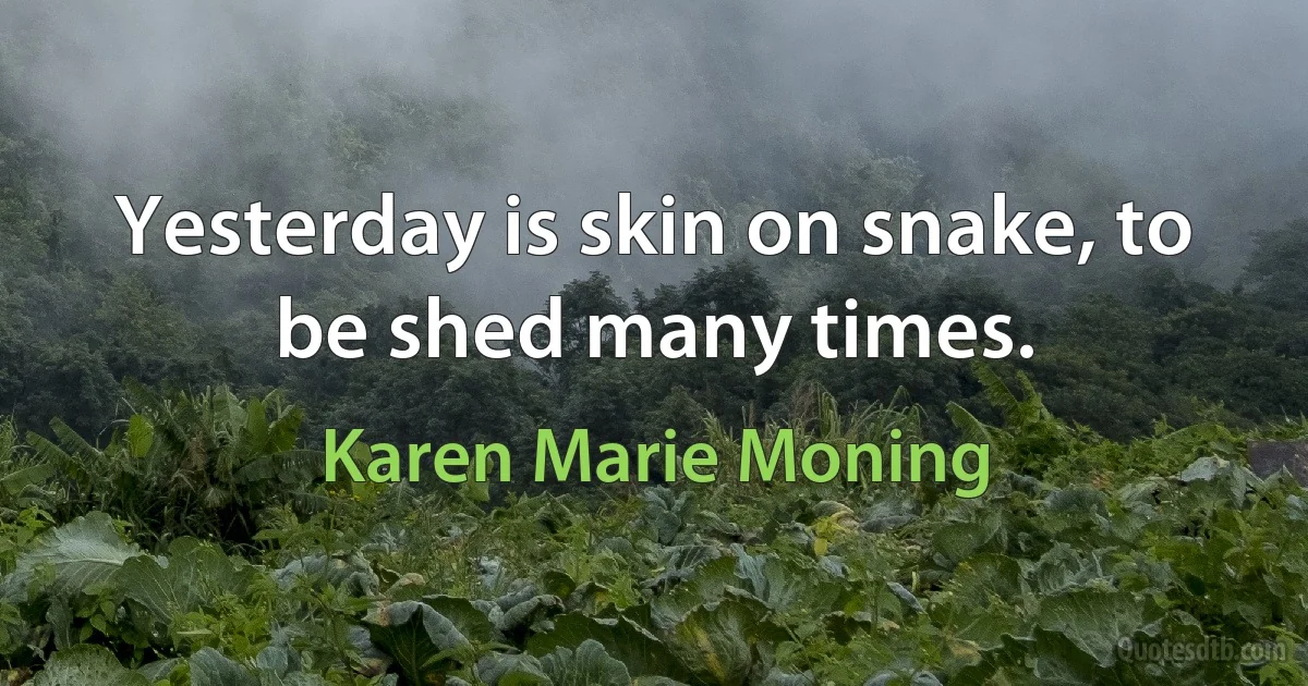 Yesterday is skin on snake, to be shed many times. (Karen Marie Moning)