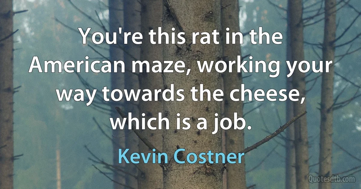 You're this rat in the American maze, working your way towards the cheese, which is a job. (Kevin Costner)