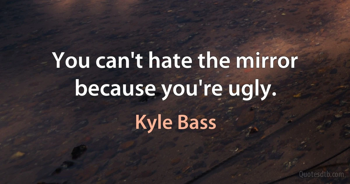 You can't hate the mirror because you're ugly. (Kyle Bass)