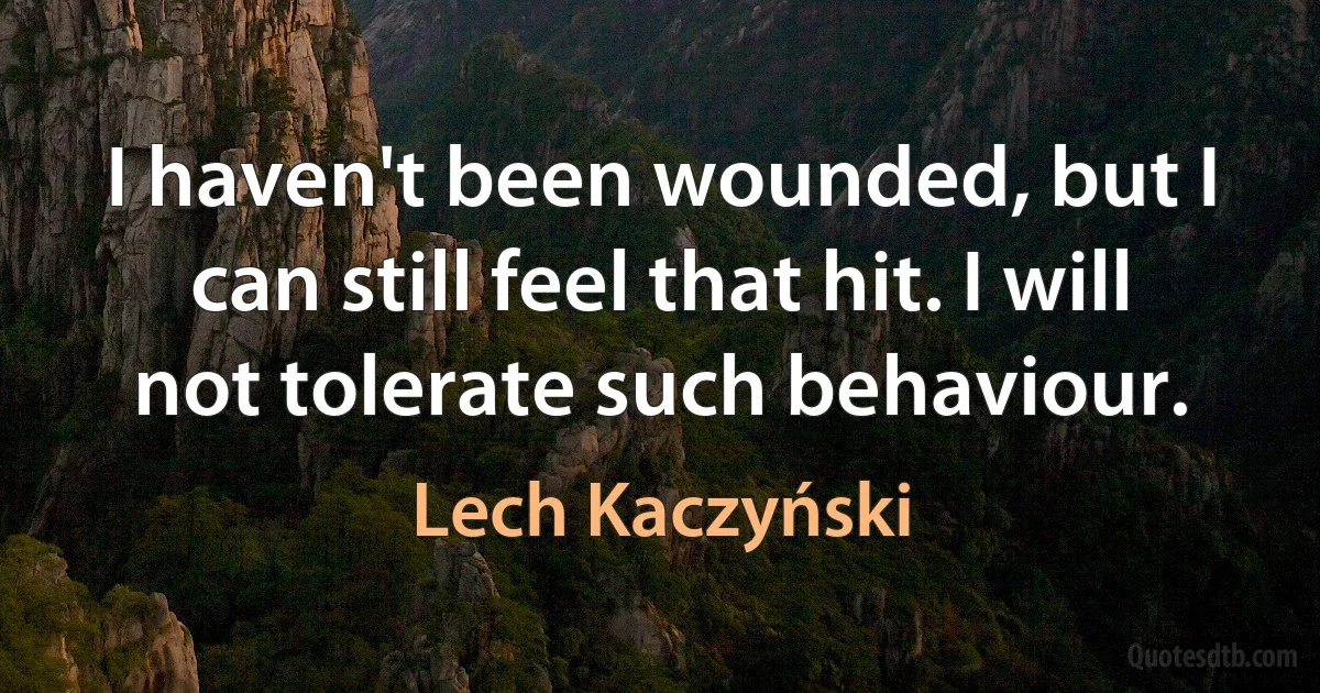 I haven't been wounded, but I can still feel that hit. I will not tolerate such behaviour. (Lech Kaczyński)