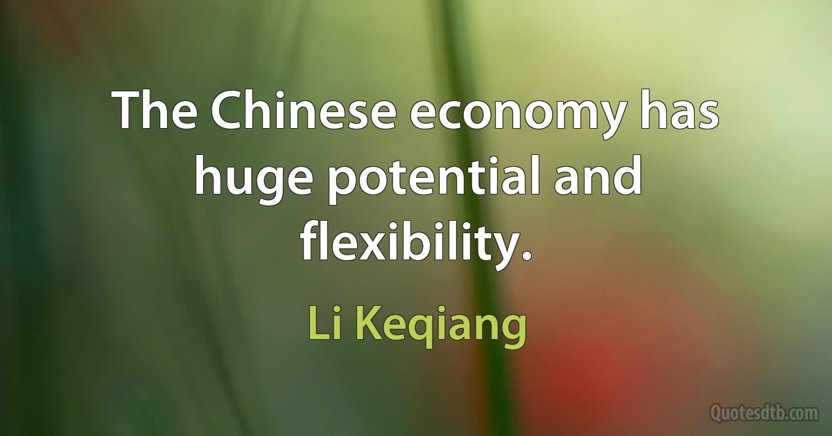 The Chinese economy has huge potential and flexibility. (Li Keqiang)