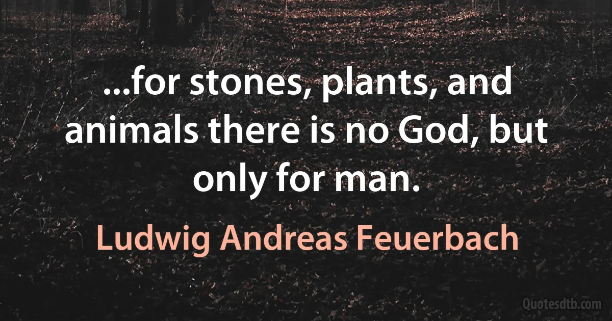 ...for stones, plants, and animals there is no God, but only for man. (Ludwig Andreas Feuerbach)