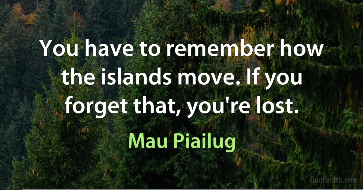 You have to remember how the islands move. If you forget that, you're lost. (Mau Piailug)