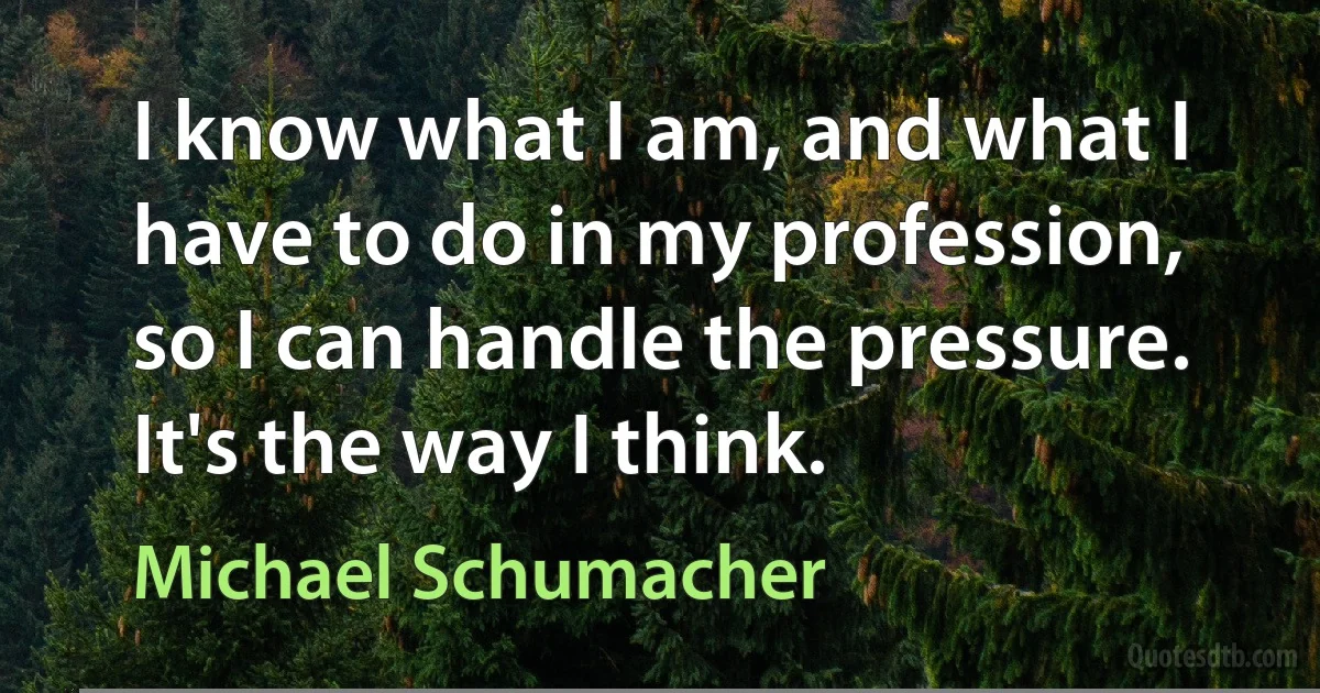 I know what I am, and what I have to do in my profession, so I can handle the pressure. It's the way I think. (Michael Schumacher)