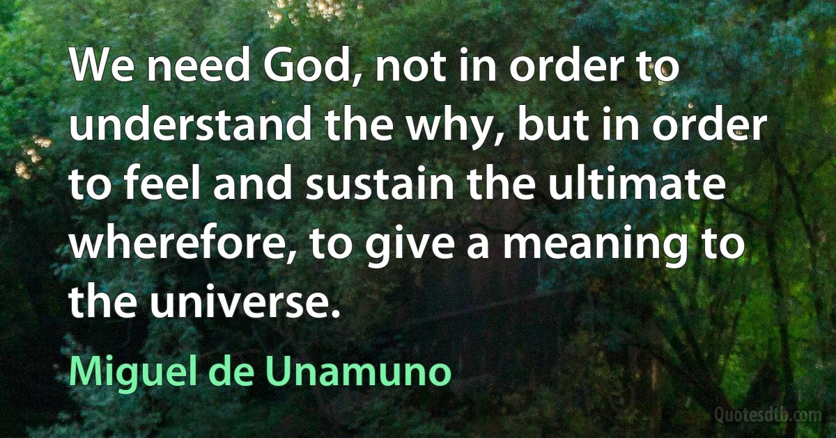 We need God, not in order to understand the why, but in order to feel and sustain the ultimate wherefore, to give a meaning to the universe. (Miguel de Unamuno)