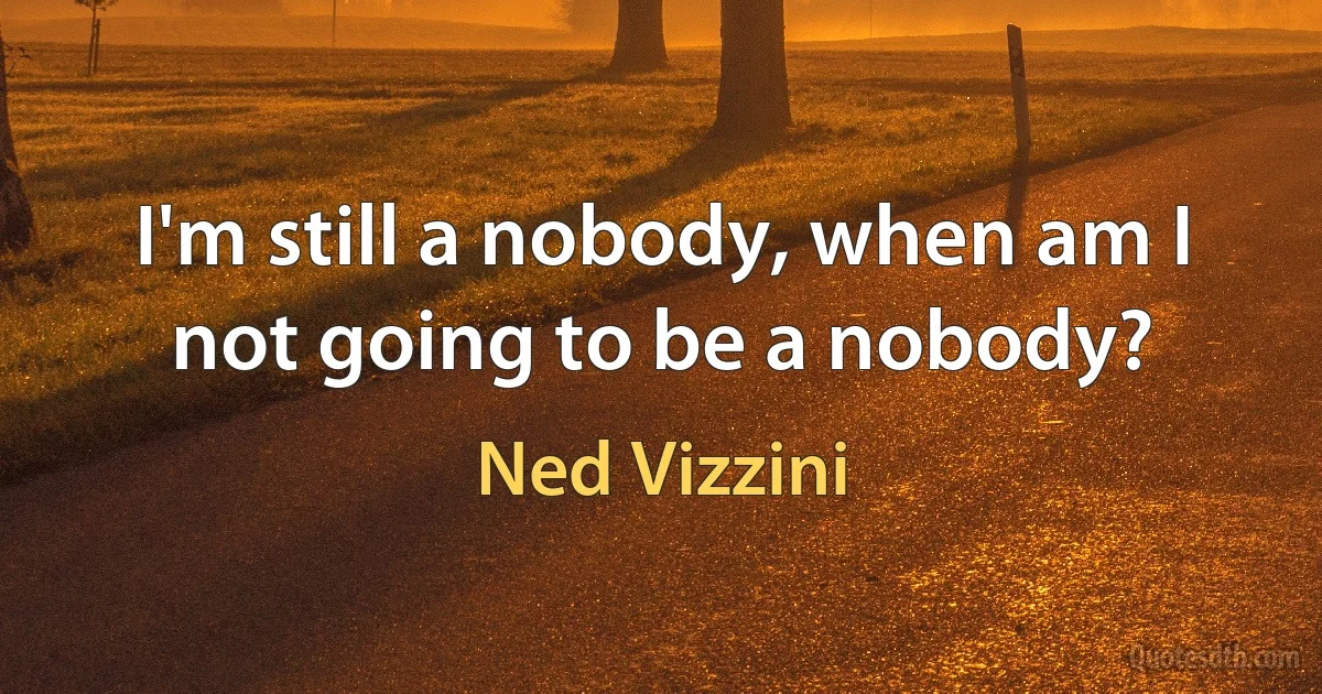 I'm still a nobody, when am I not going to be a nobody? (Ned Vizzini)