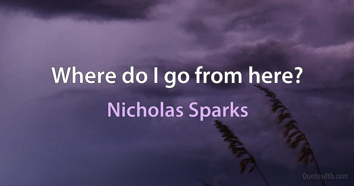 Where do I go from here? (Nicholas Sparks)