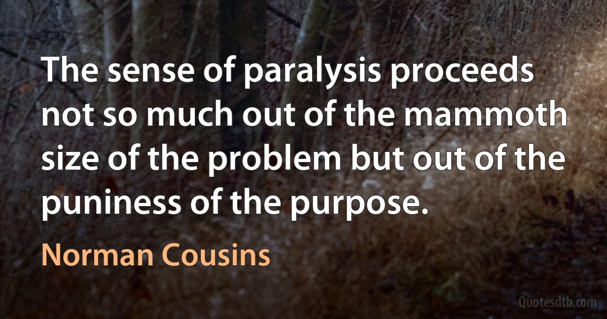 The sense of paralysis proceeds not so much out of the mammoth size of the problem but out of the puniness of the purpose. (Norman Cousins)