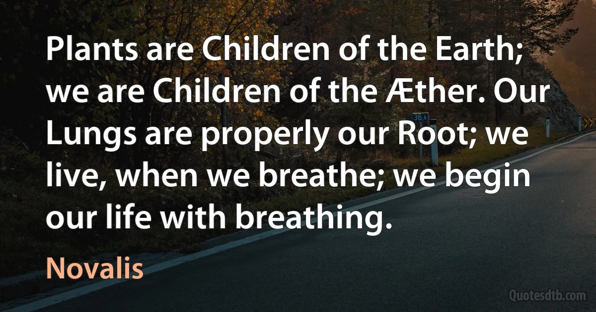 Plants are Children of the Earth; we are Children of the Æther. Our Lungs are properly our Root; we live, when we breathe; we begin our life with breathing. (Novalis)