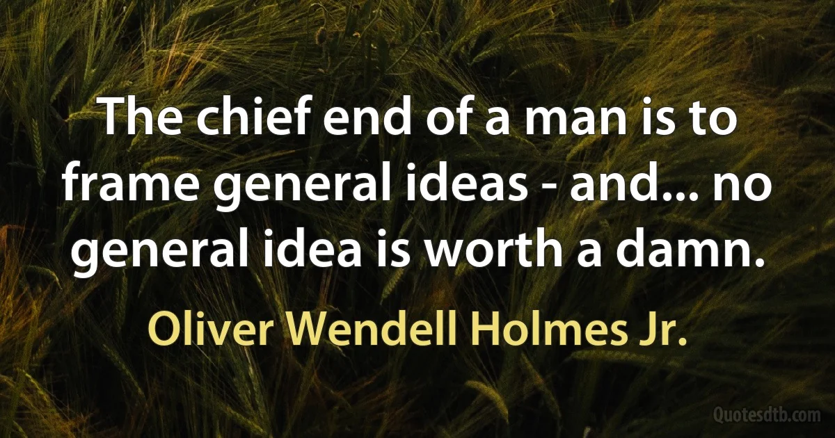 The chief end of a man is to frame general ideas - and... no general idea is worth a damn. (Oliver Wendell Holmes Jr.)