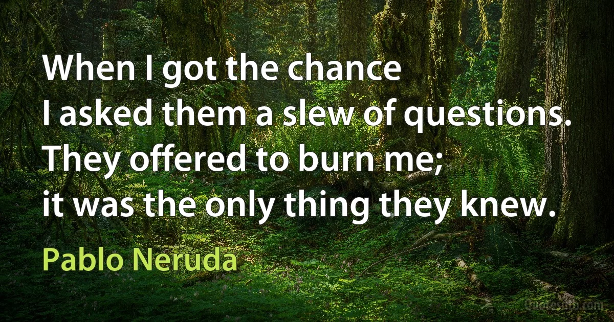 When I got the chance
I asked them a slew of questions.
They offered to burn me;
it was the only thing they knew. (Pablo Neruda)