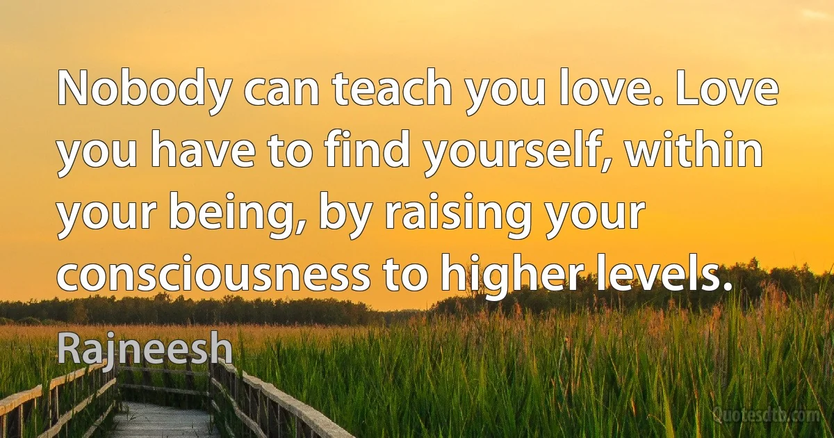 Nobody can teach you love. Love you have to find yourself, within your being, by raising your consciousness to higher levels. (Rajneesh)