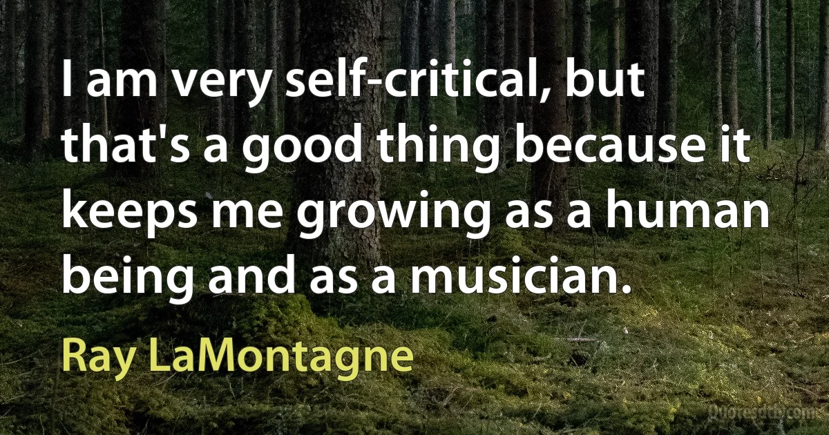 I am very self-critical, but that's a good thing because it keeps me growing as a human being and as a musician. (Ray LaMontagne)