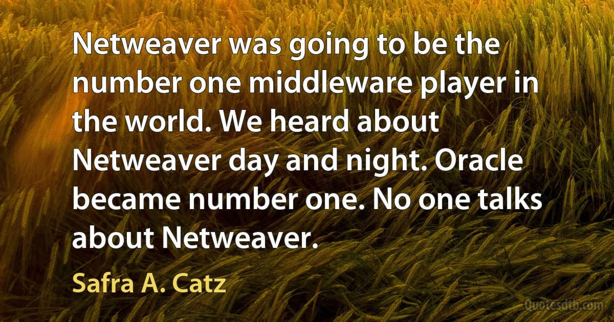 Netweaver was going to be the number one middleware player in the world. We heard about Netweaver day and night. Oracle became number one. No one talks about Netweaver. (Safra A. Catz)