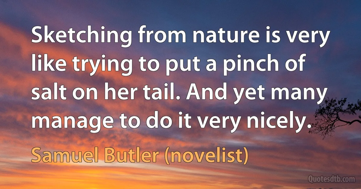 Sketching from nature is very like trying to put a pinch of salt on her tail. And yet many manage to do it very nicely. (Samuel Butler (novelist))