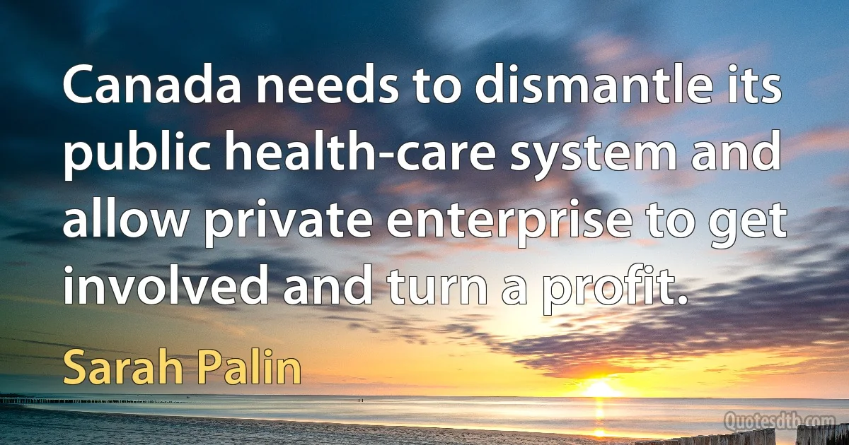 Canada needs to dismantle its public health-care system and allow private enterprise to get involved and turn a profit. (Sarah Palin)