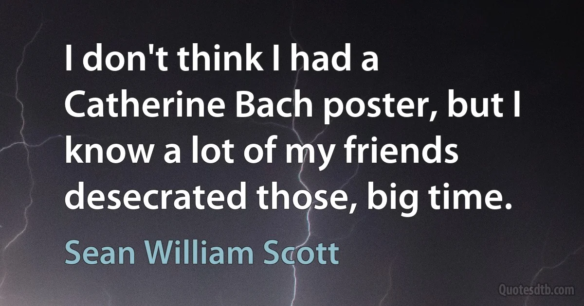 I don't think I had a Catherine Bach poster, but I know a lot of my friends desecrated those, big time. (Sean William Scott)