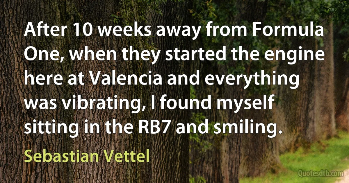 After 10 weeks away from Formula One, when they started the engine here at Valencia and everything was vibrating, I found myself sitting in the RB7 and smiling. (Sebastian Vettel)