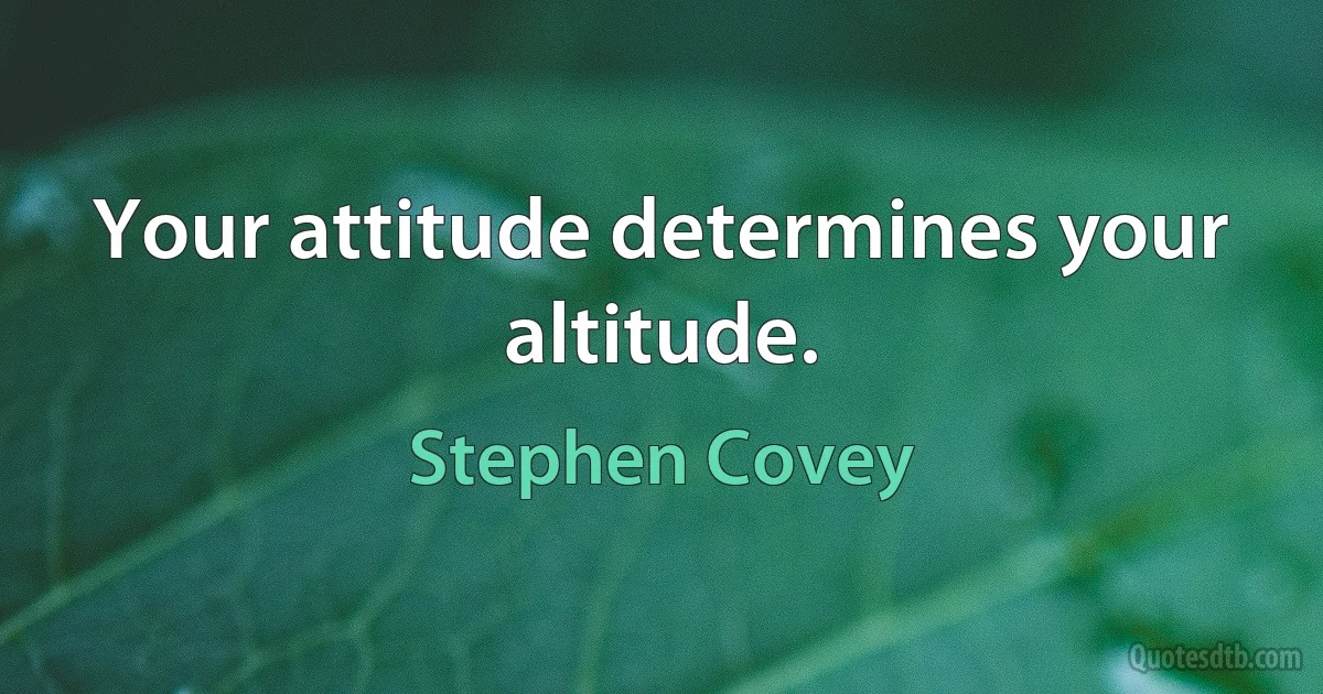 Your attitude determines your altitude. (Stephen Covey)