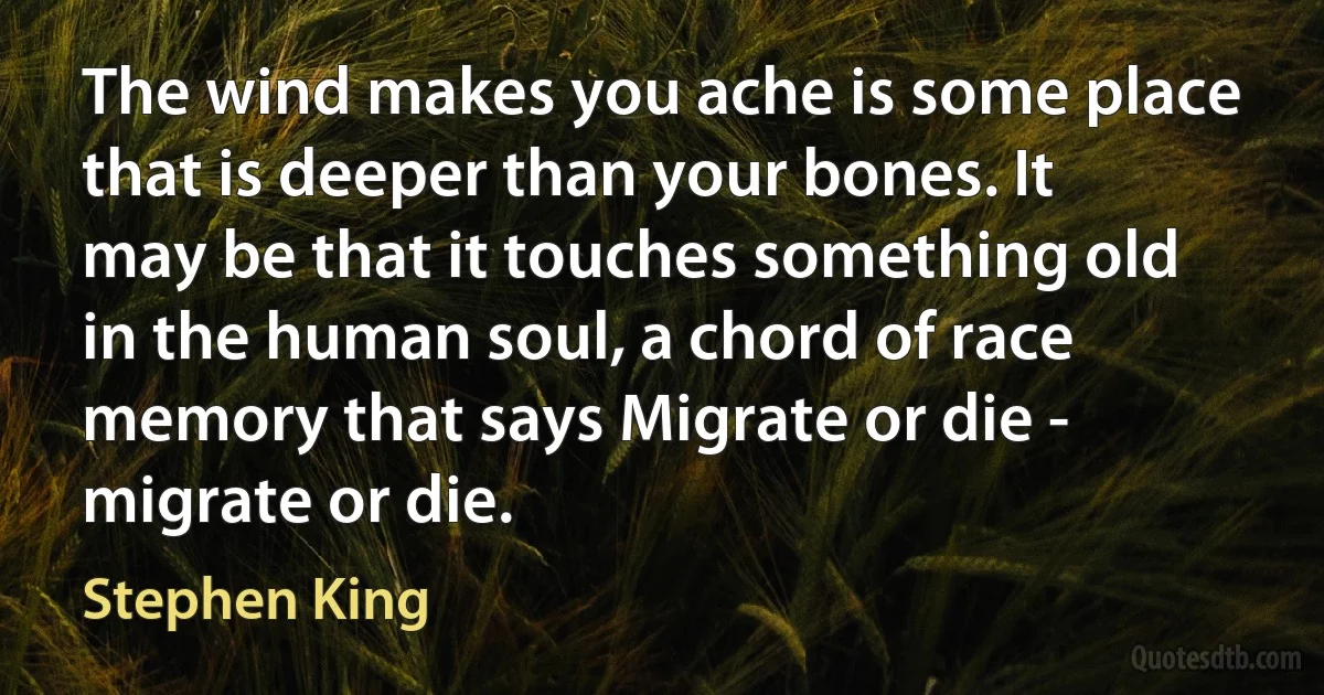 The wind makes you ache is some place that is deeper than your bones. It may be that it touches something old in the human soul, a chord of race memory that says Migrate or die - migrate or die. (Stephen King)