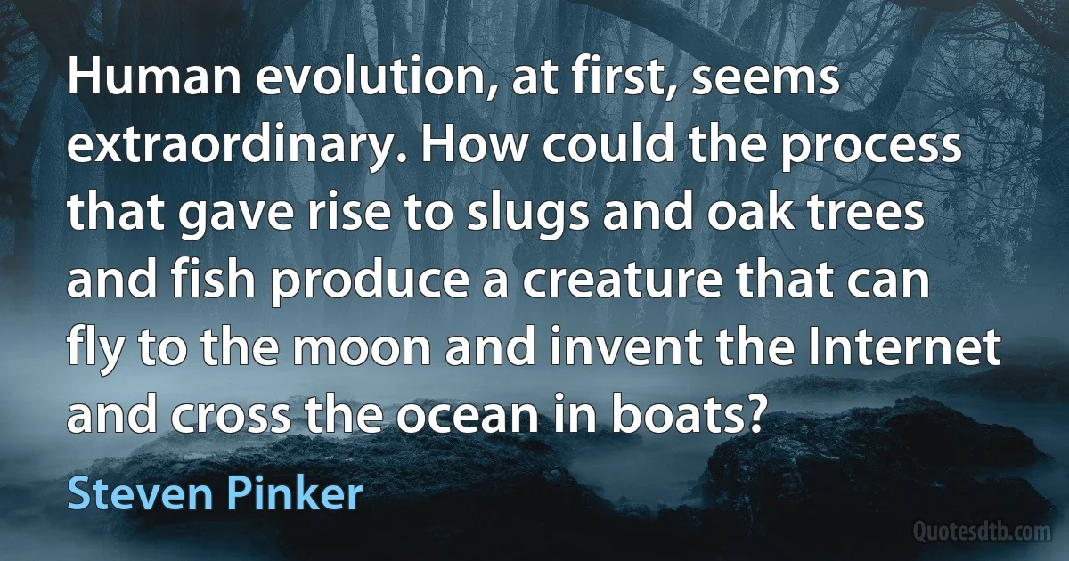 Human evolution, at first, seems extraordinary. How could the process that gave rise to slugs and oak trees and fish produce a creature that can fly to the moon and invent the Internet and cross the ocean in boats? (Steven Pinker)