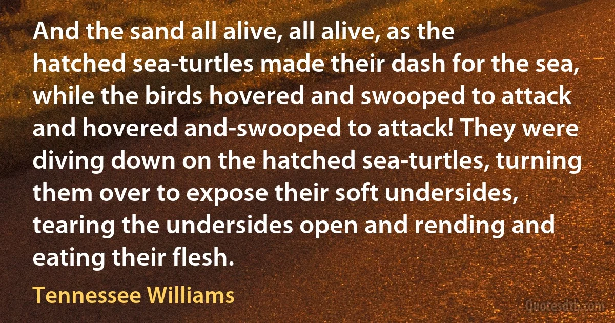 And the sand all alive, all alive, as the hatched sea-turtles made their dash for the sea, while the birds hovered and swooped to attack and hovered and-swooped to attack! They were diving down on the hatched sea-turtles, turning them over to expose their soft undersides, tearing the undersides open and rending and eating their flesh. (Tennessee Williams)