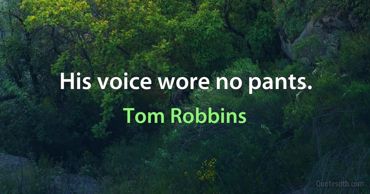 His voice wore no pants. (Tom Robbins)