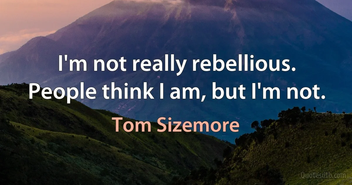 I'm not really rebellious. People think I am, but I'm not. (Tom Sizemore)