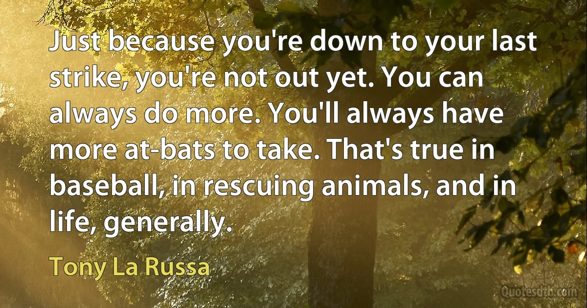 Just because you're down to your last strike, you're not out yet. You can always do more. You'll always have more at-bats to take. That's true in baseball, in rescuing animals, and in life, generally. (Tony La Russa)