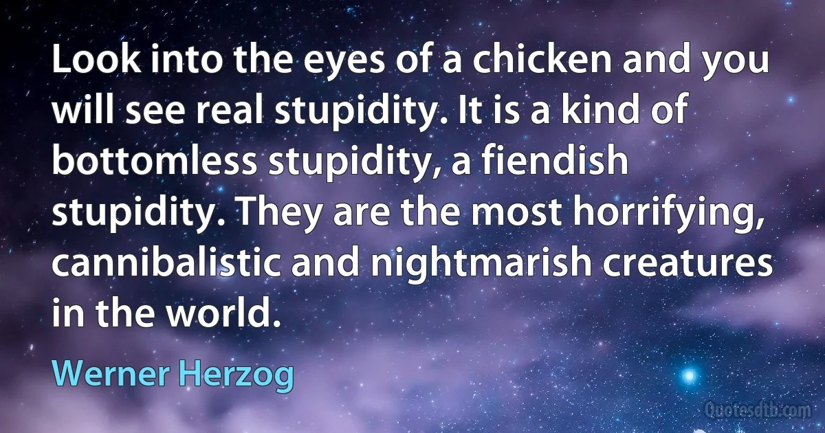 Look into the eyes of a chicken and you will see real stupidity. It is a kind of bottomless stupidity, a fiendish stupidity. They are the most horrifying, cannibalistic and nightmarish creatures in the world. (Werner Herzog)