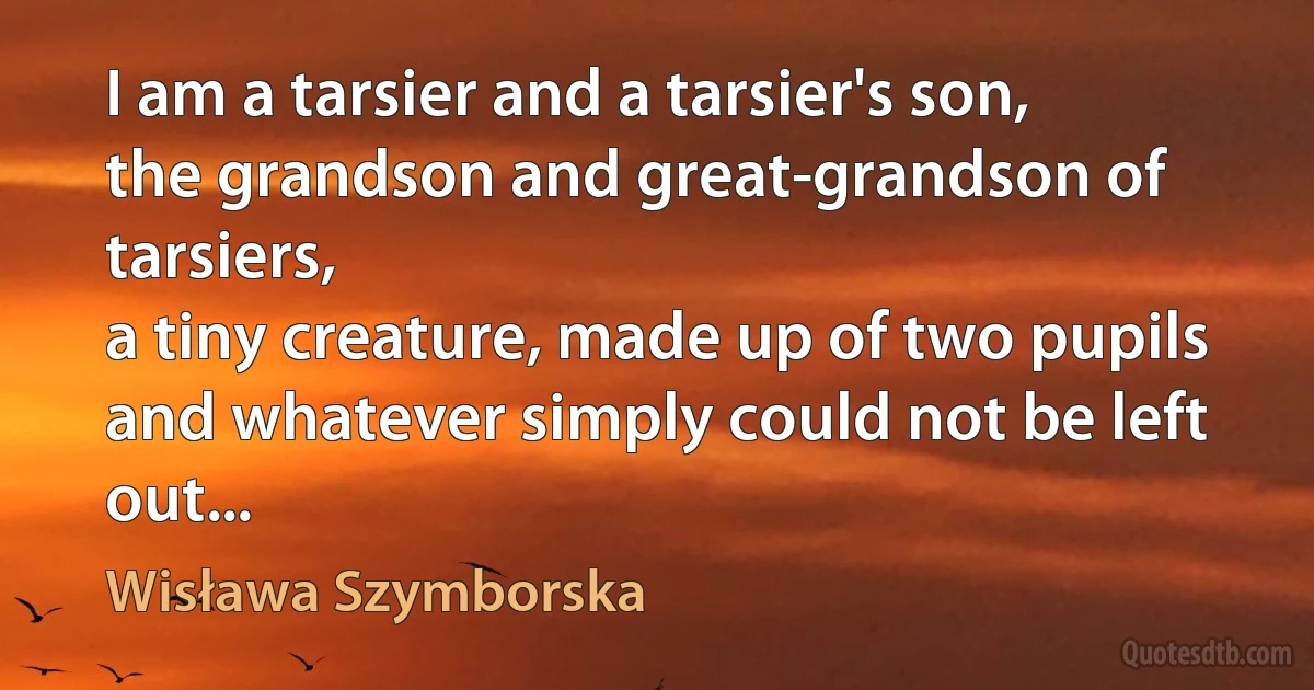 I am a tarsier and a tarsier's son,
the grandson and great-grandson of tarsiers,
a tiny creature, made up of two pupils
and whatever simply could not be left out... (Wisława Szymborska)