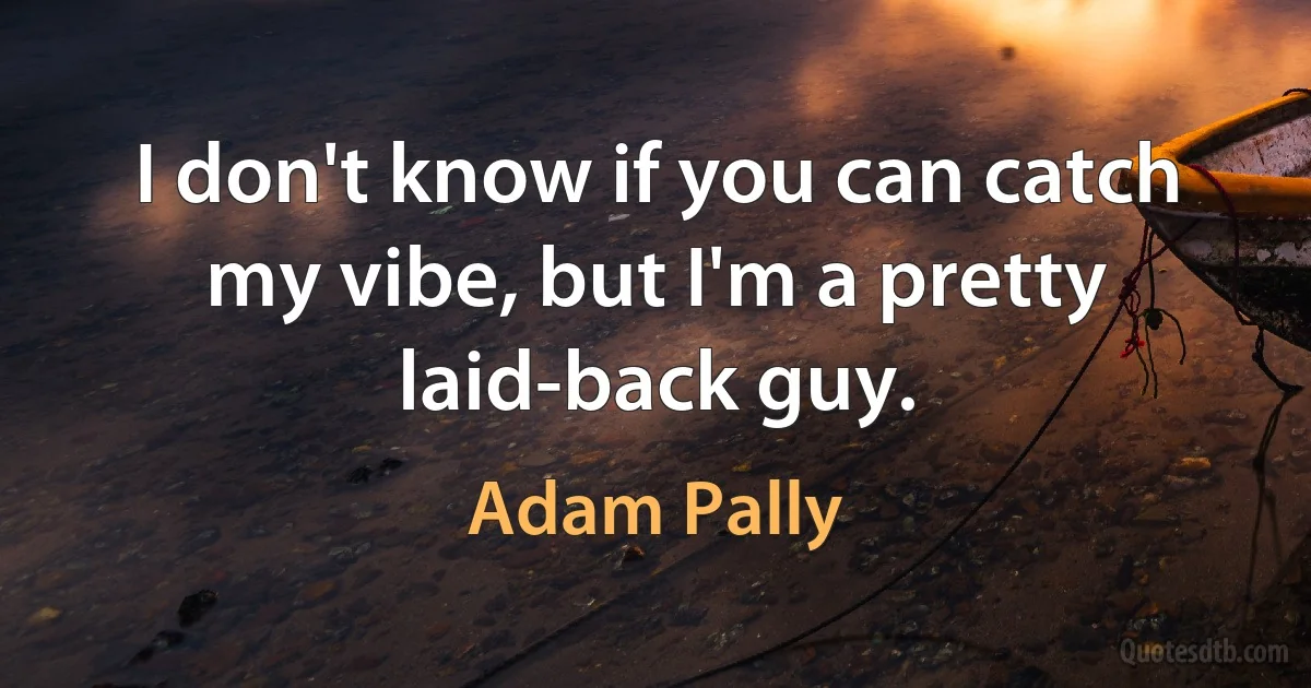 I don't know if you can catch my vibe, but I'm a pretty laid-back guy. (Adam Pally)