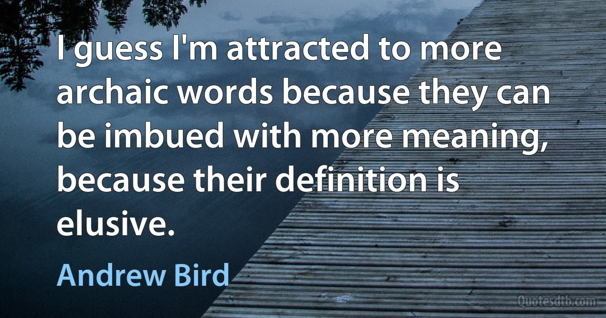 I guess I'm attracted to more archaic words because they can be imbued with more meaning, because their definition is elusive. (Andrew Bird)