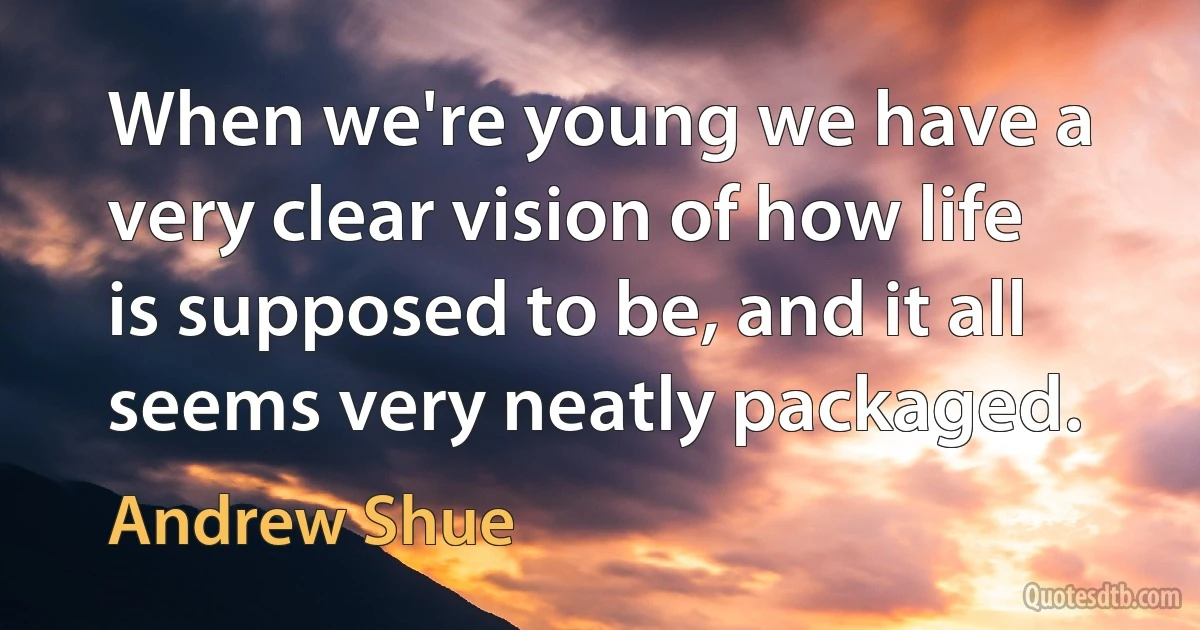 When we're young we have a very clear vision of how life is supposed to be, and it all seems very neatly packaged. (Andrew Shue)