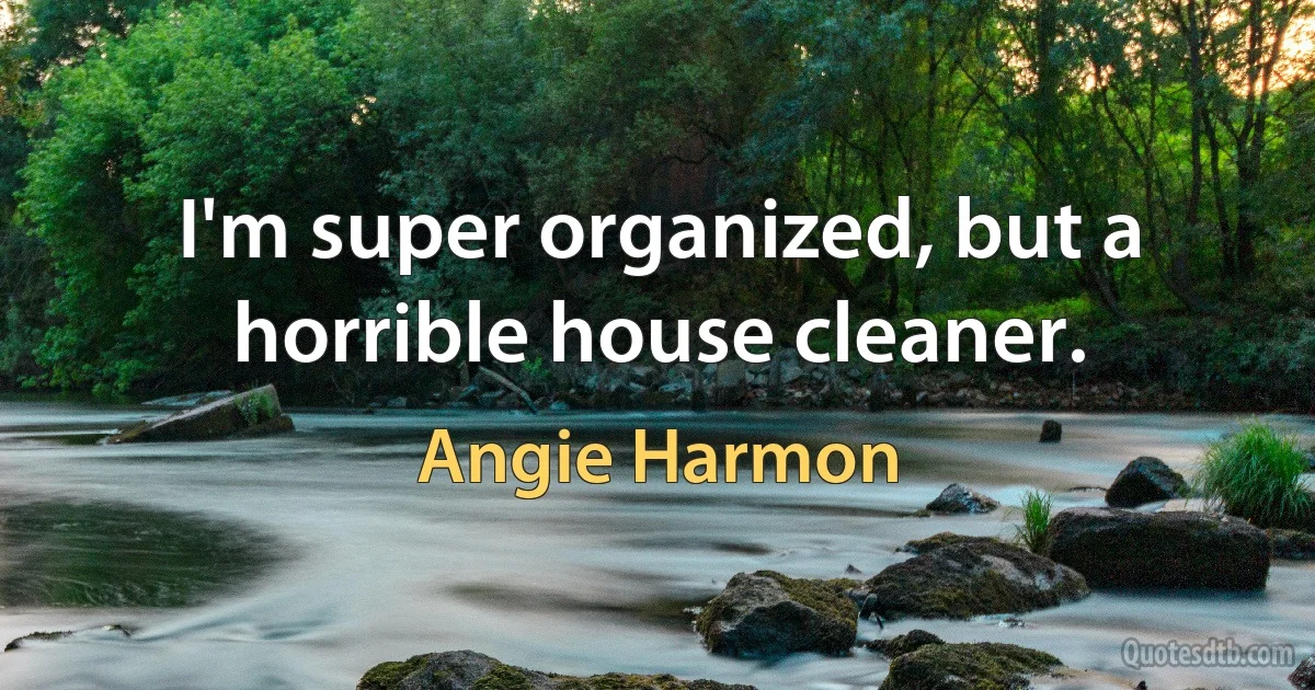 I'm super organized, but a horrible house cleaner. (Angie Harmon)