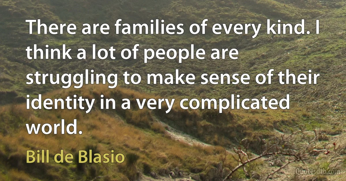 There are families of every kind. I think a lot of people are struggling to make sense of their identity in a very complicated world. (Bill de Blasio)