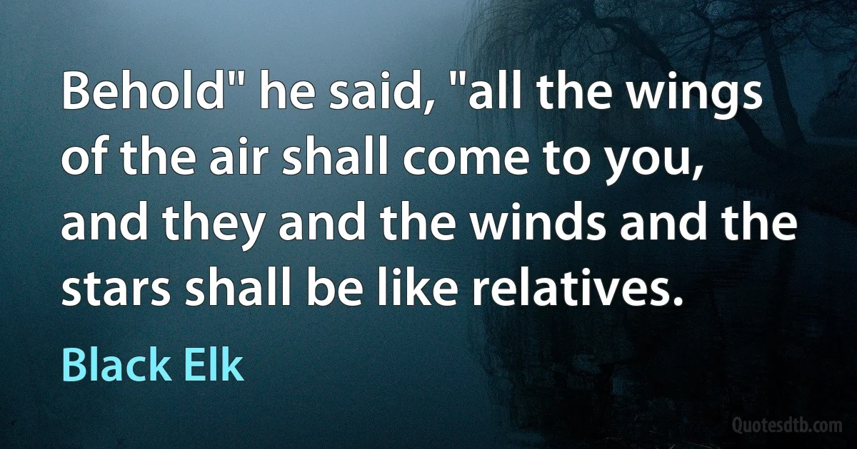 Behold" he said, "all the wings of the air shall come to you, and they and the winds and the stars shall be like relatives. (Black Elk)