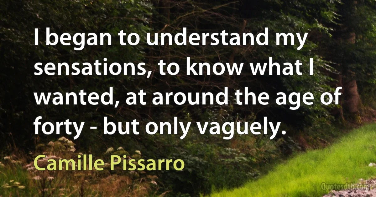 I began to understand my sensations, to know what I wanted, at around the age of forty - but only vaguely. (Camille Pissarro)